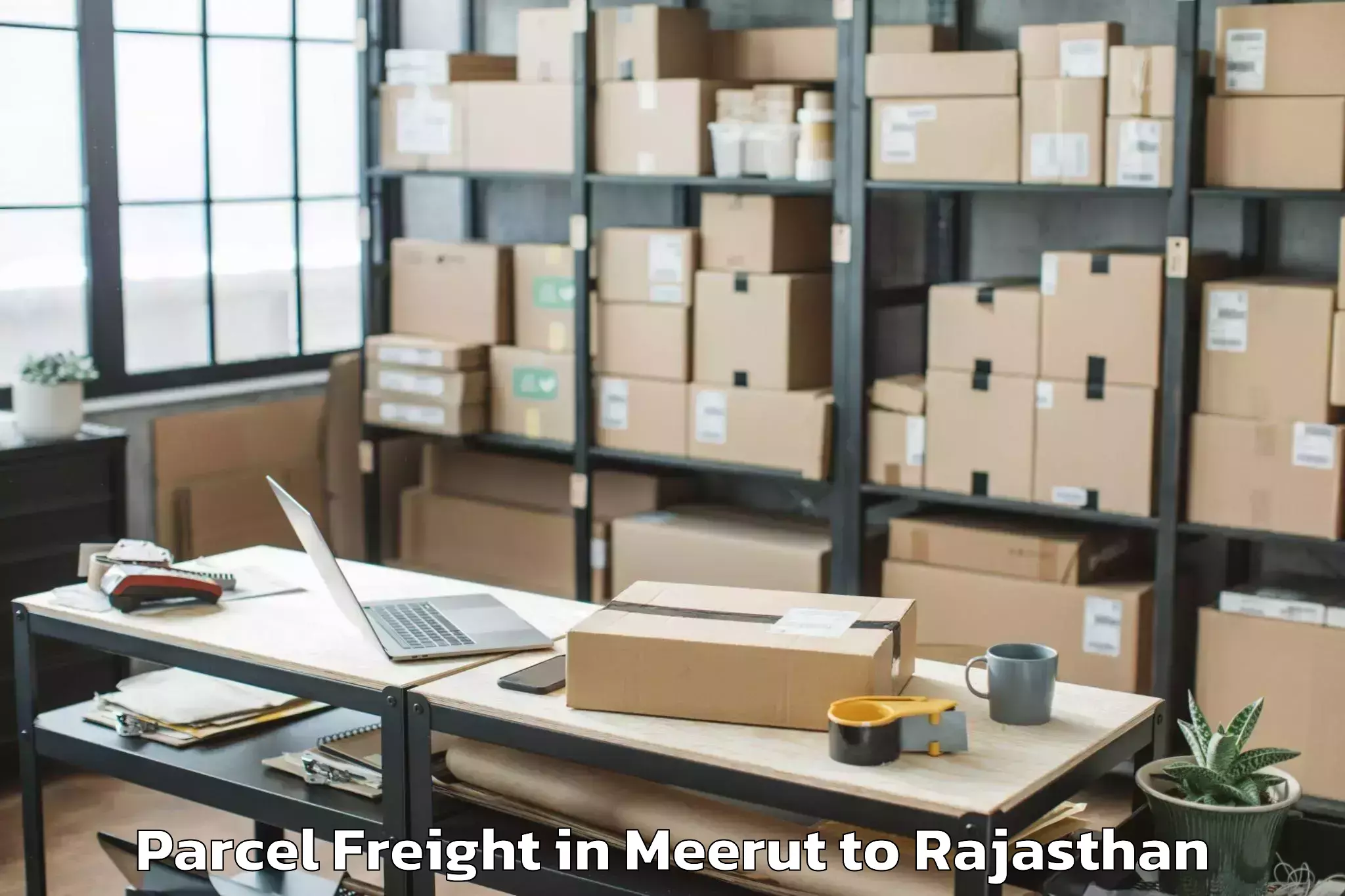 Quality Meerut to Banasthali Vidyapith Parcel Freight